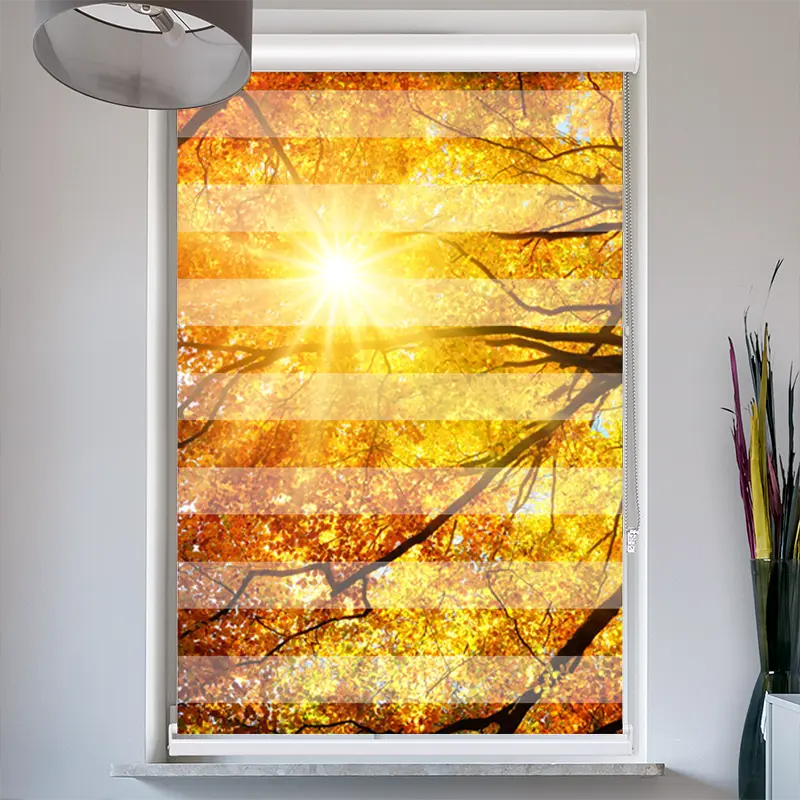 Doppelrollo mit Kassette "Baumkrone Herbst Sonnenschein"