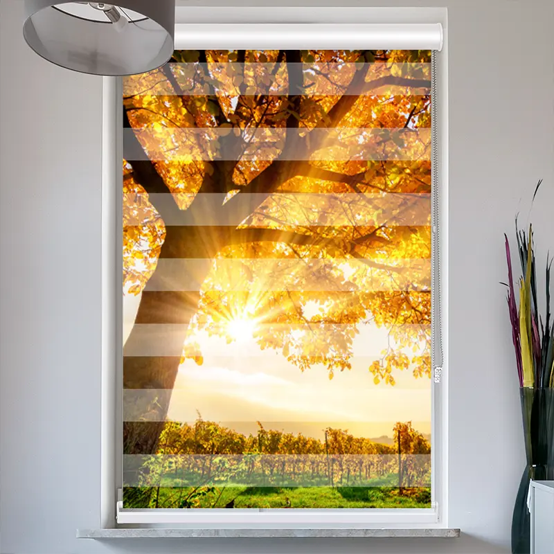 Doppelrollo mit Kassette "Baum Herbst Sonnenschein"
