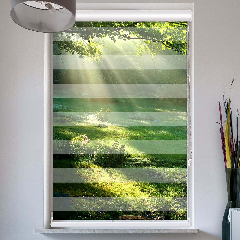 Doppelrollo mit Kassette Lichtung im Wald