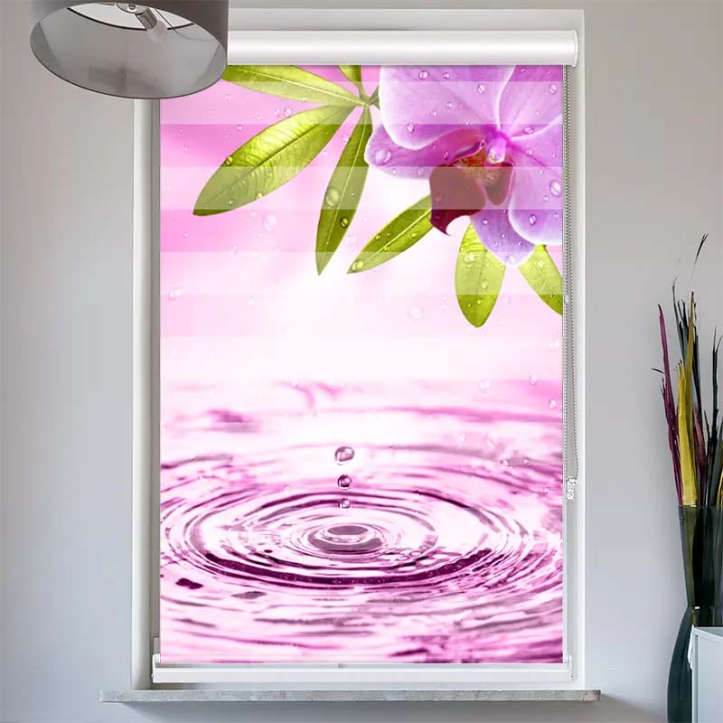 Doppelrollo mit Kassette Pinke Orchidee mit Wassertropfen