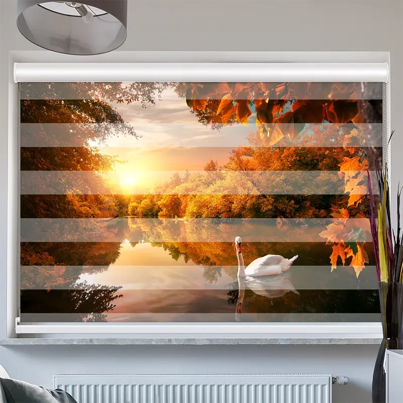 Doppelrollo Mit Kassette Schwan auf Herbstteich