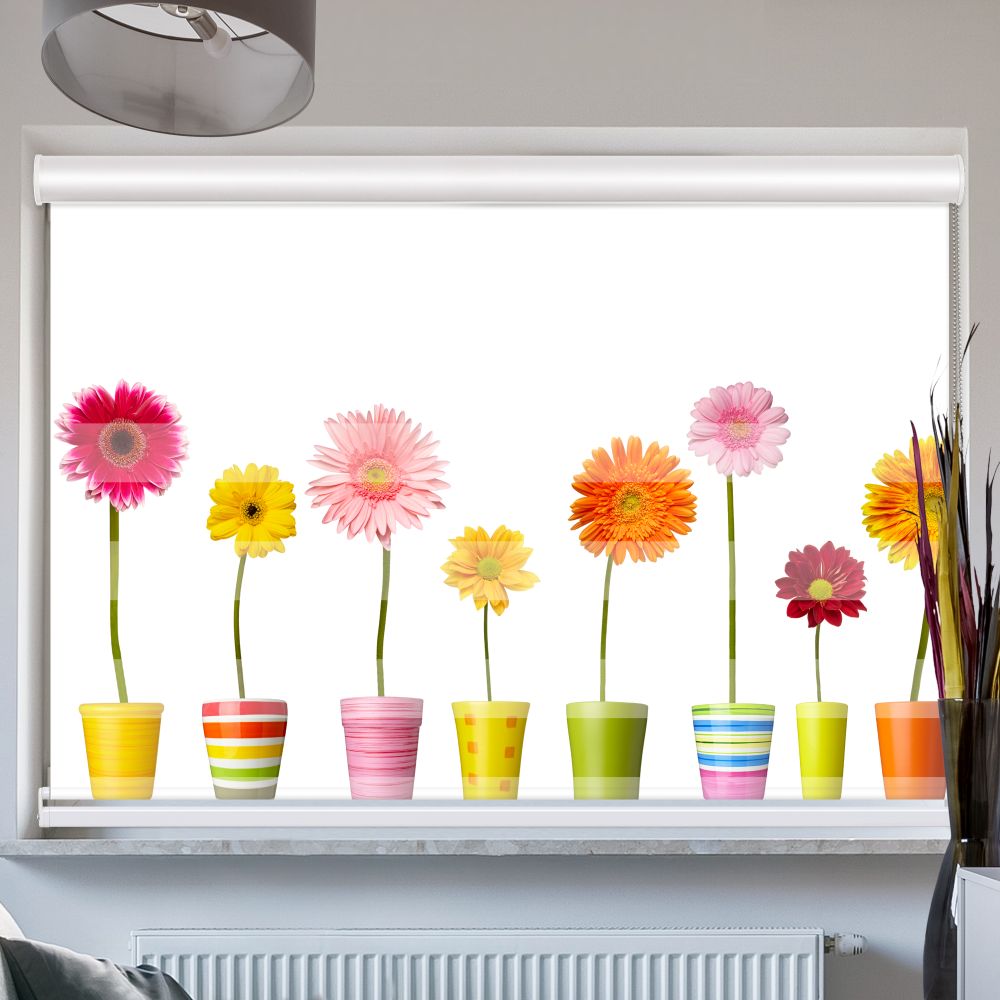 Doppelrollo mit Kassette Bunte Topfblumen