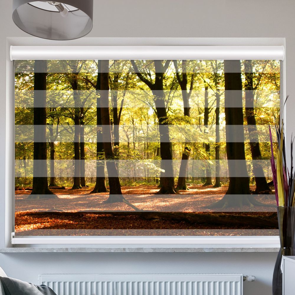 Doppelrollo mit Kassette Wald Sonnenstrahlen