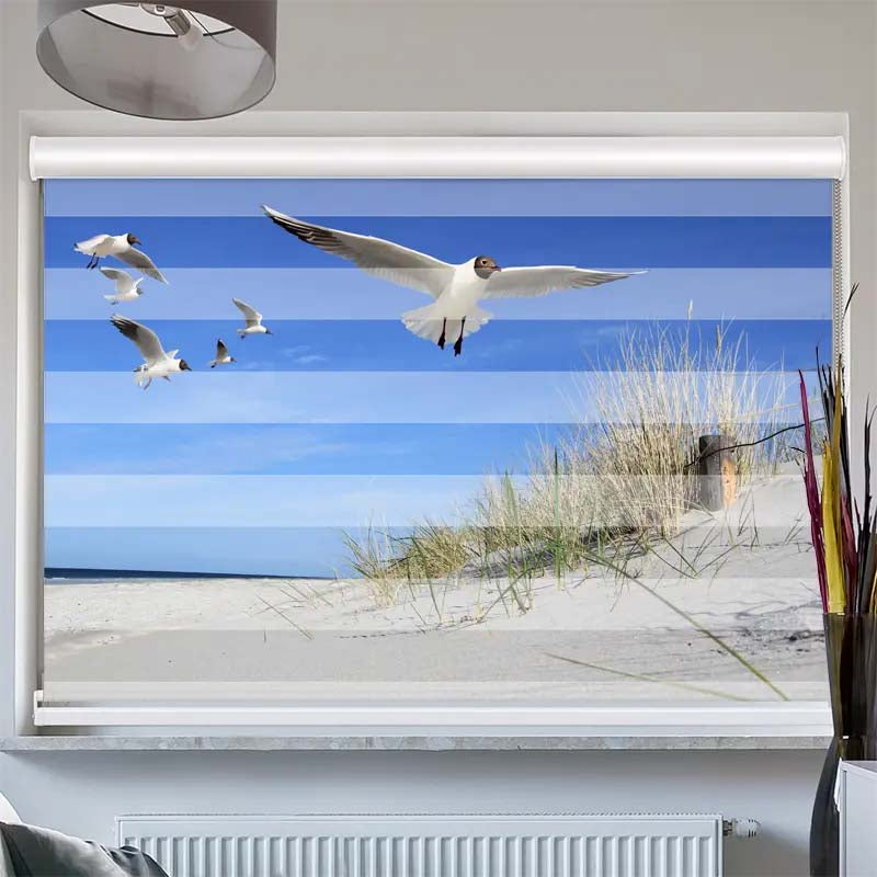 Doppelrollo mit Kassette Moewen am Strand