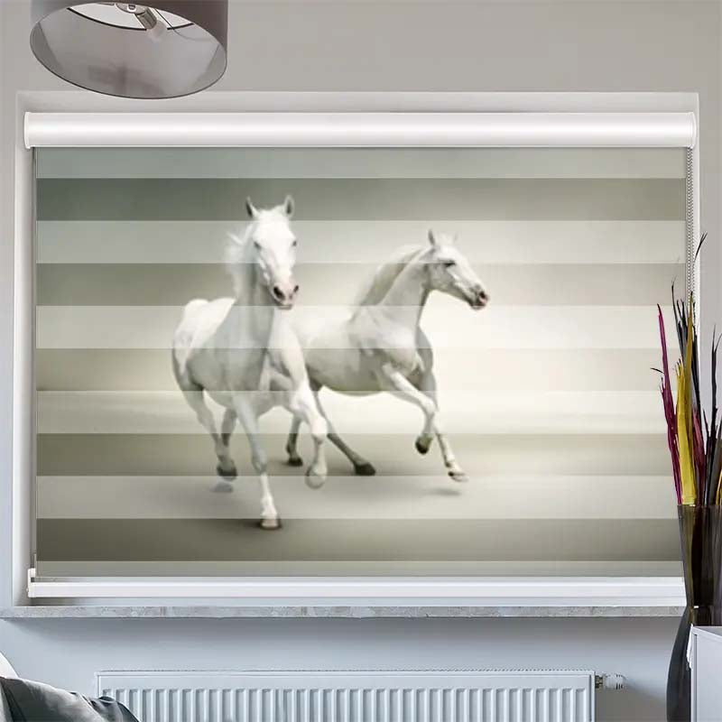 Doppelrollo mit Kassette Pferde Schimmel