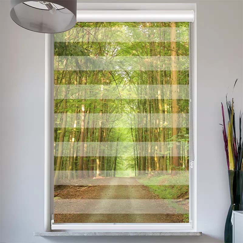 Doppelrollo mit Kassette Bambuswald Weg