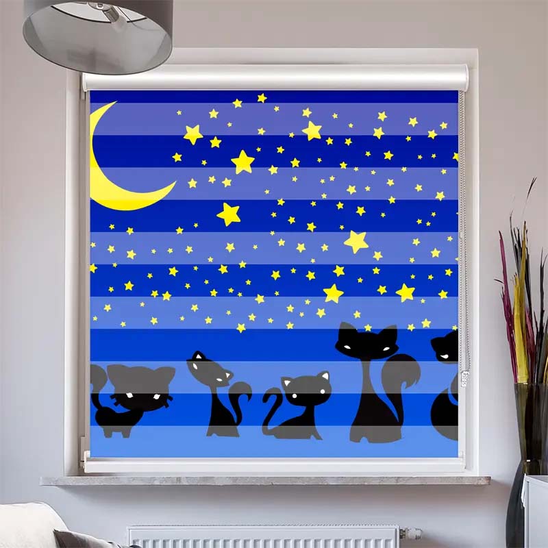 Doppelrollo mit Kassette Katzen Unter dem Sternenhimmel