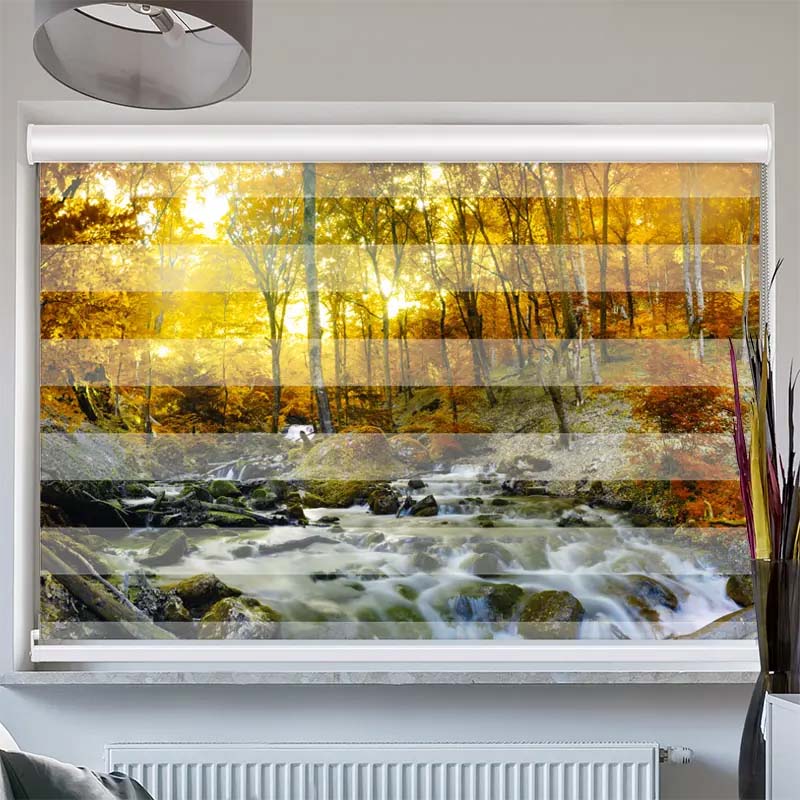 Doppelrollo mit Kassette Herbstwald Fluss