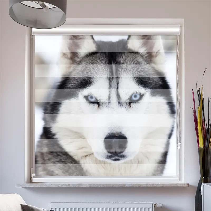 Doppelrollo mit Kassette Husky