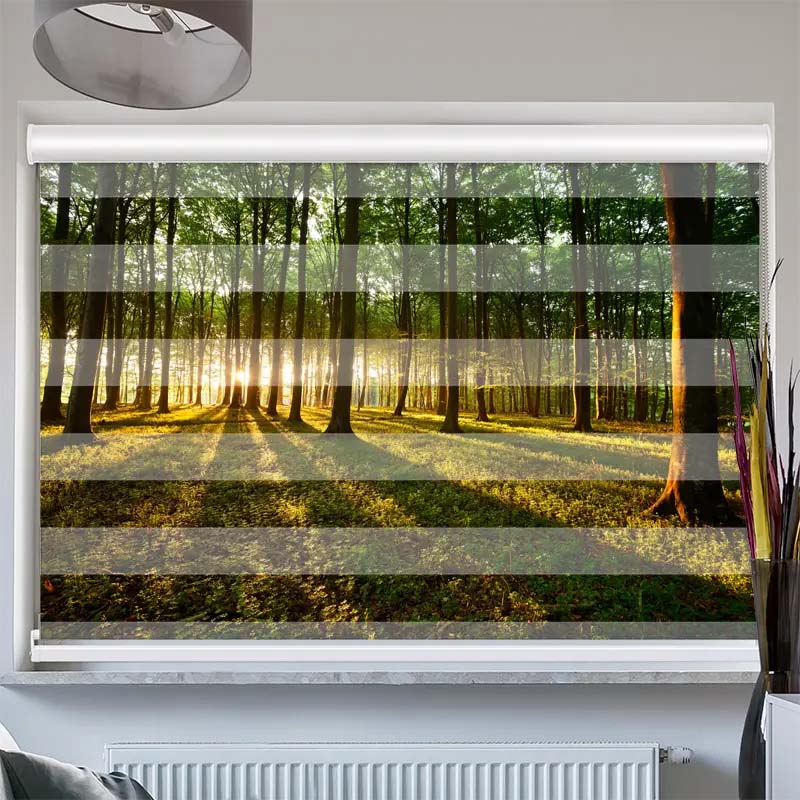 Doppelrollo mit Kassette Sonnenstrahlen im Wald