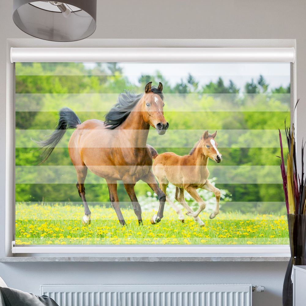 Doppelrollo mit Kassette Pferd mit Fohlen