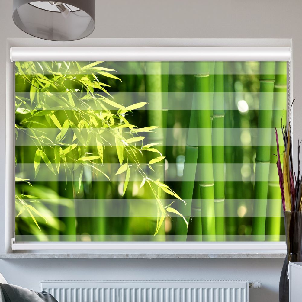 Doppelrollo mit Kassette Bambus Strauch