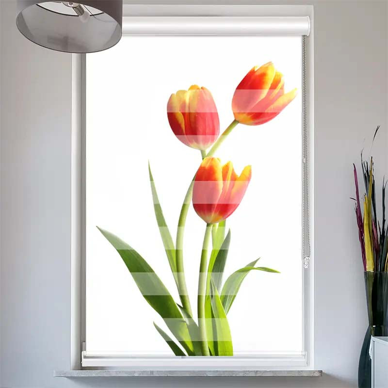 Doppelrollo mit Kassette Tulpen