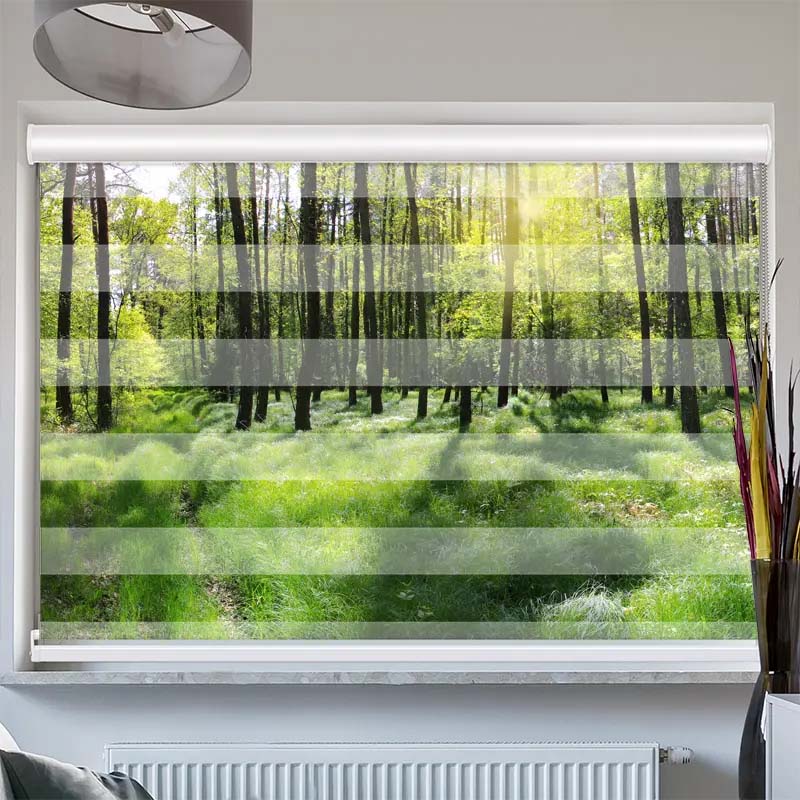 Doppelrollo mit Kassette Wald Panorama