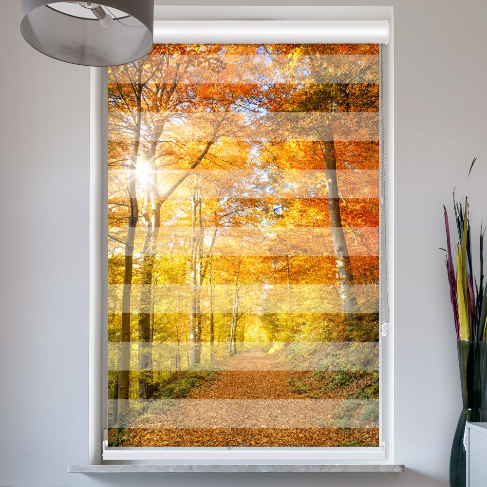 Doppelrollo mit Kassette Waldweg Herbst