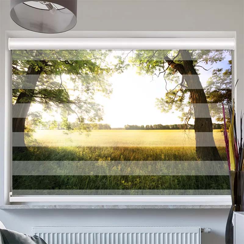 Doppelrollo mit Kassette Feld mit Sonnenlicht