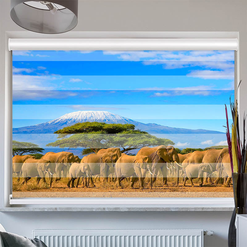 Doppelrollo mit Kassette Elefanten am Kilimandscharo