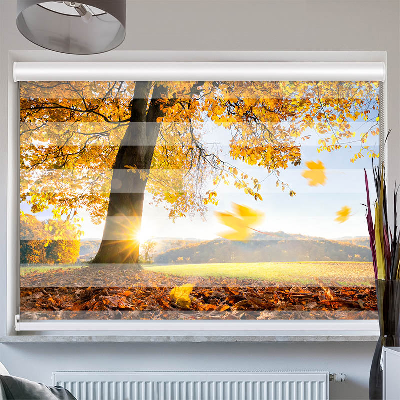 Doppelrollo mit Kassette Baum Wiese Herbst