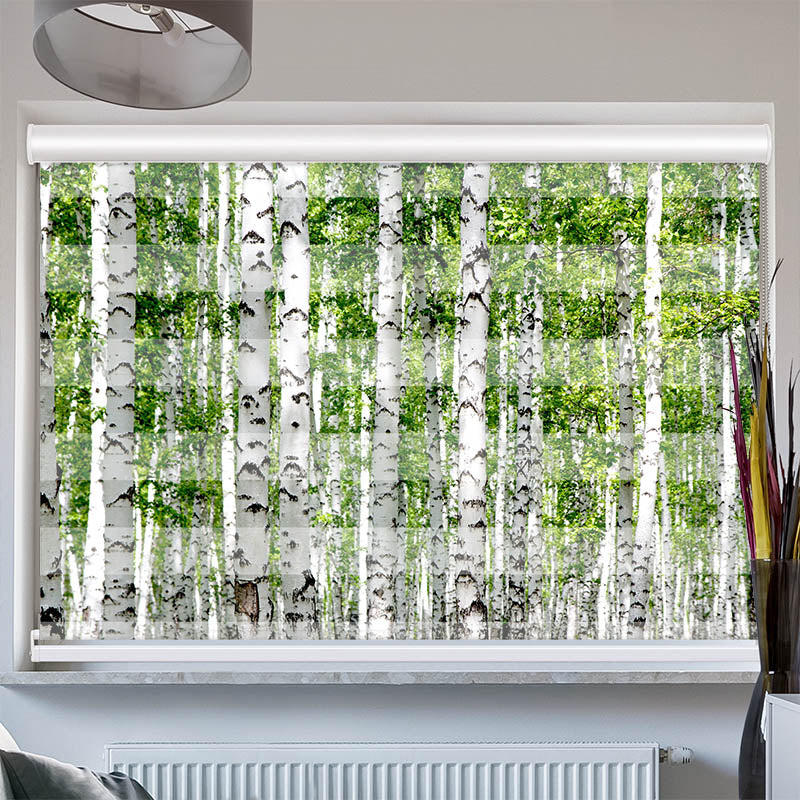 Doppelrollo mit Kassette Birkenwald