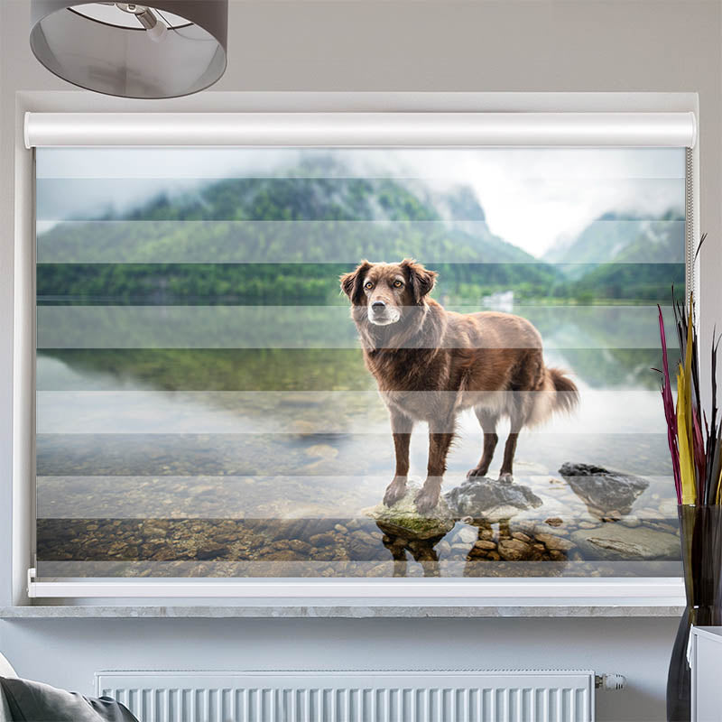 Doppelrollo mit Kassette Hund am Bergsee