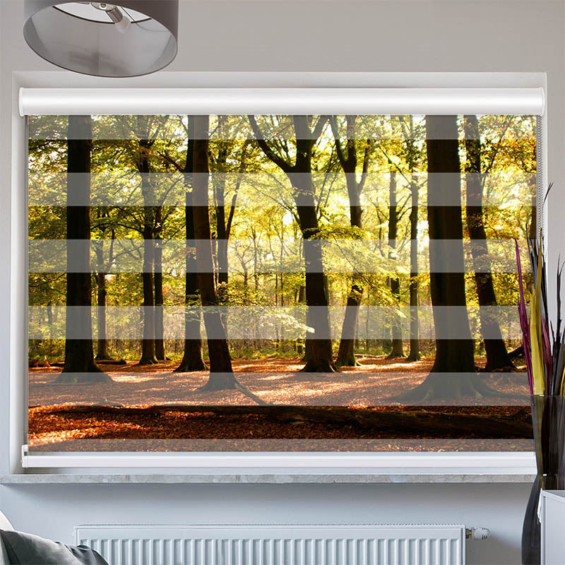 Doppelrollo mit Kassette Wald Sonnenstrahlen