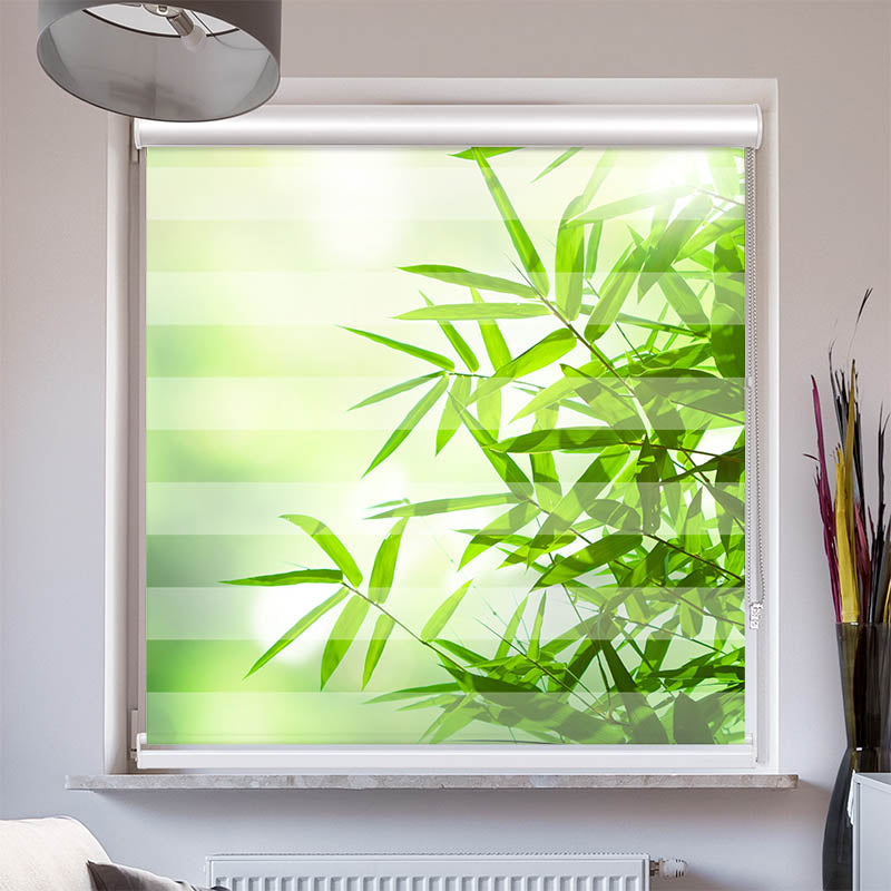 Doppelrollo mit Kassette Bambus Strauch