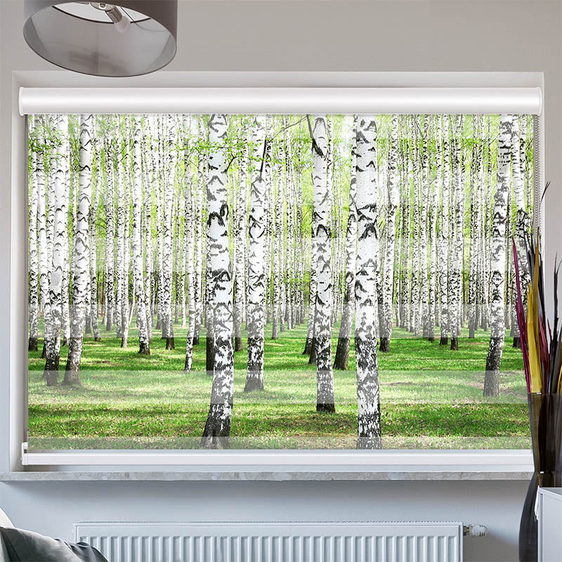 Doppelrollo mit Kassette Birkenwald