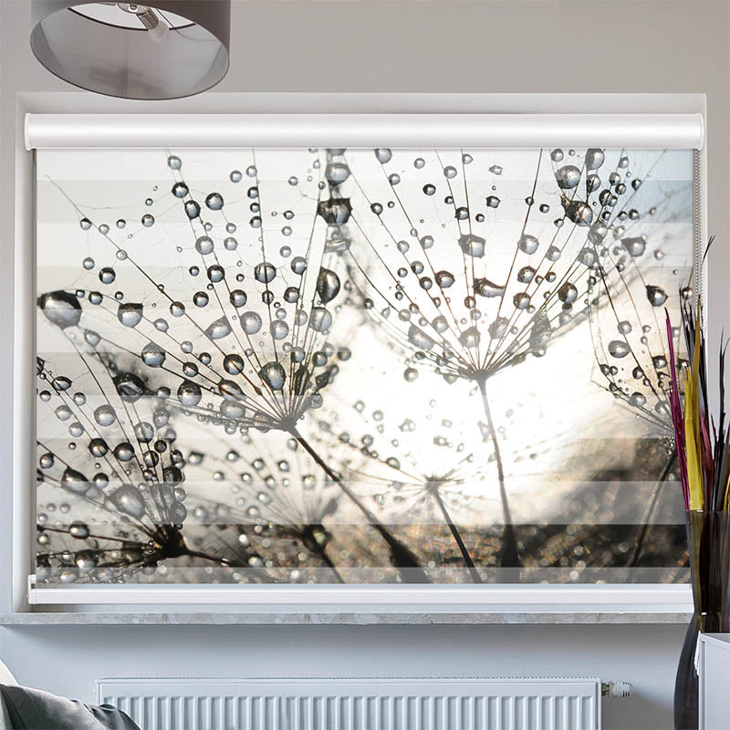 Doppelrollo mit Kassette Pusteblume Tautropfen