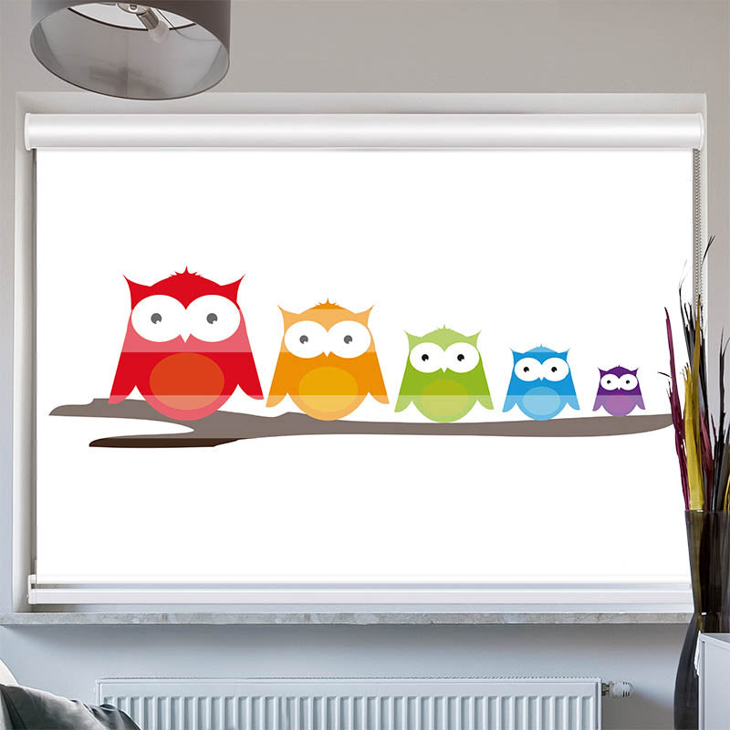 Doppelrollo mit Kassette Bunte Eulen
