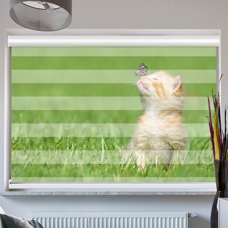 Doppelrollo mit Kassette Kitten und Schmetterling