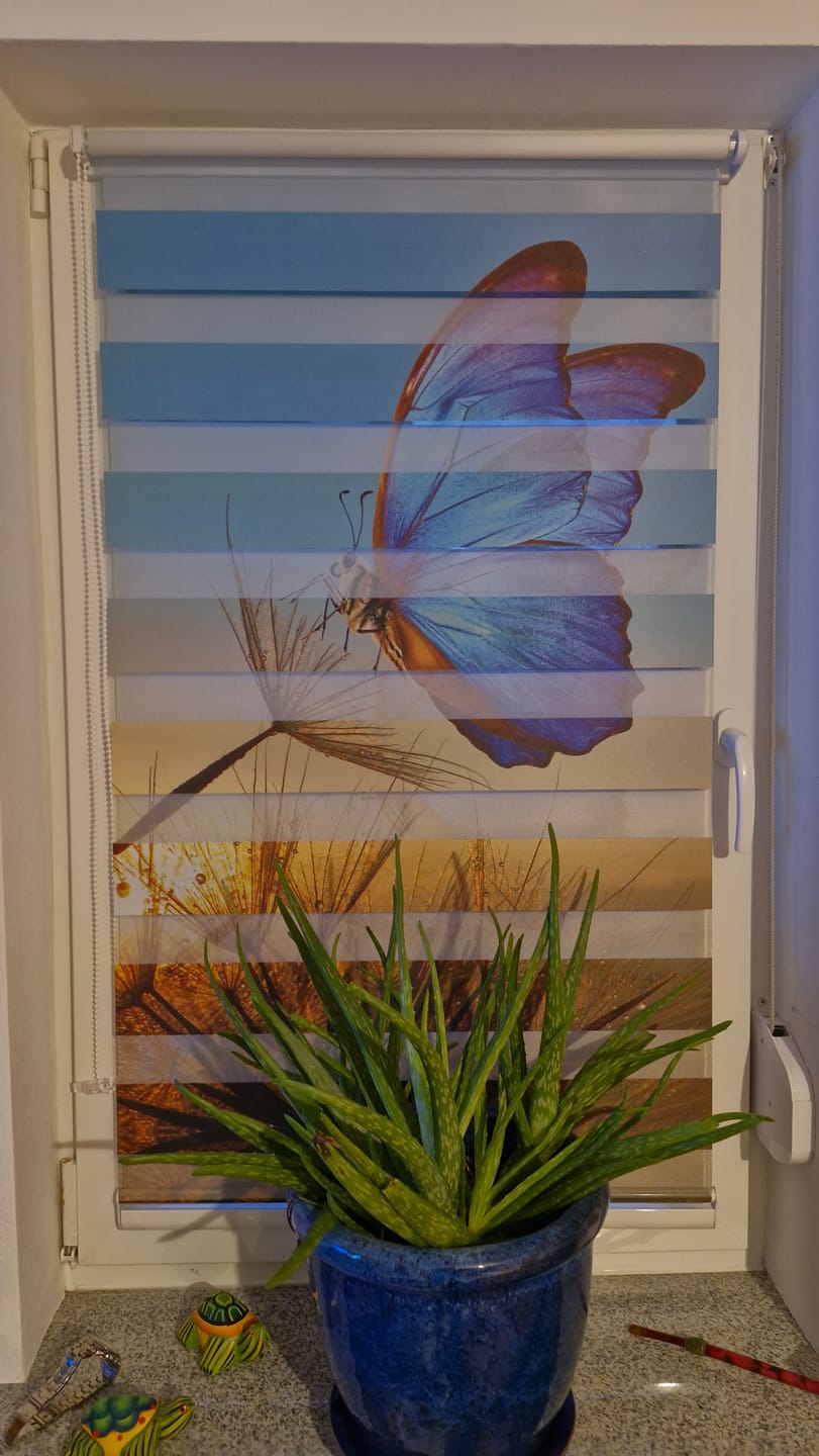 Kundenmotiv Doppelrollo mit Pusteblume und Schmetterling