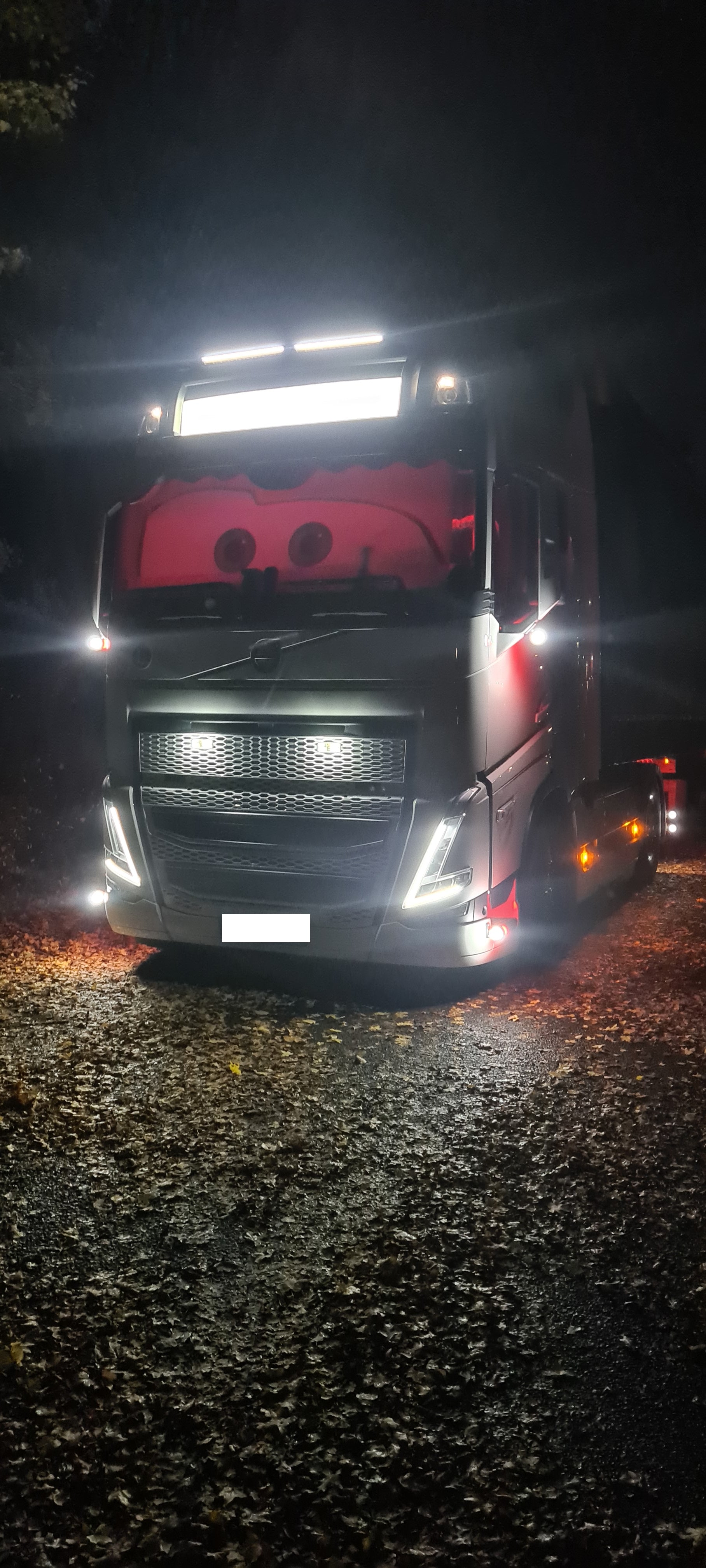 Frontscheibe eines LKW wird von Foto-Rollo mit selbst hochgeladenen Motiv verdeckt, damit der LKW-Fahrer in seiner Ruhezeit es gemütlich hat und vor Blicken geschützt ist