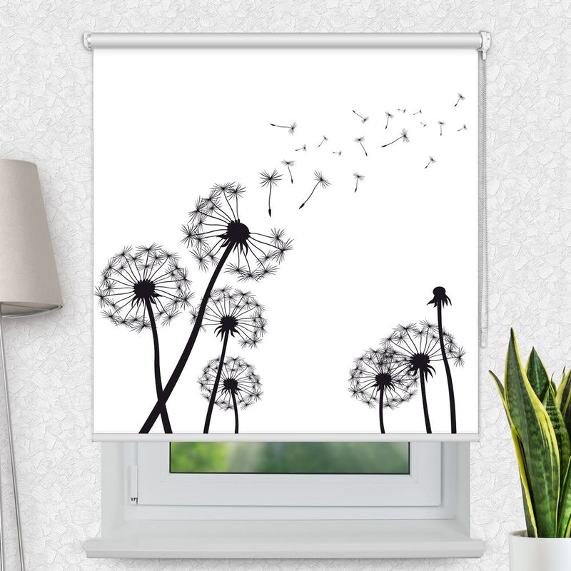 Fotorollo Pusteblumen Grafik