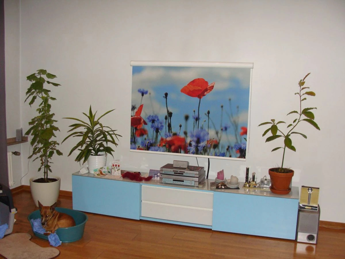 ein heruntergelassenes Kassettenrollo mit Foto einer Mohnblume bedruckt verdeckt den Fernseher im wohnzimmer mit