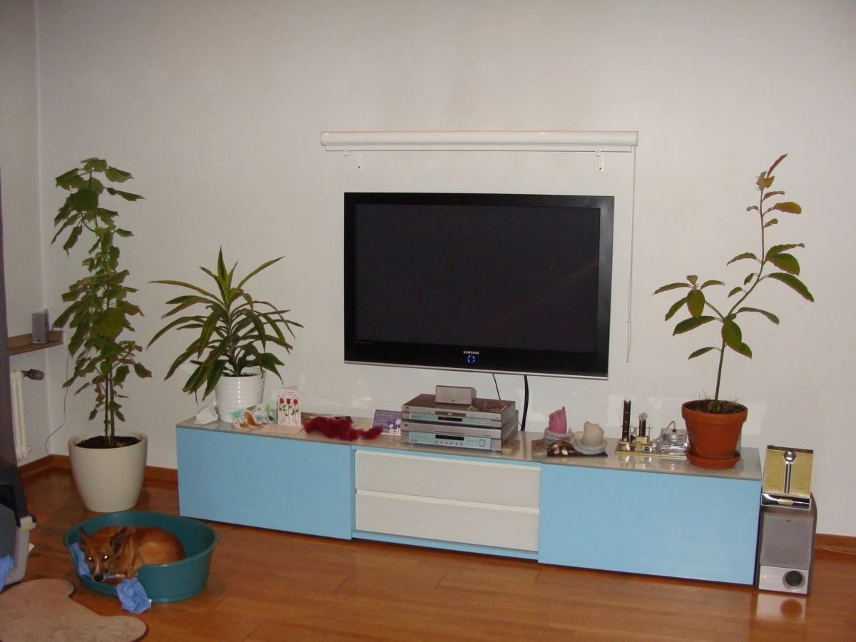 ein hochgezogenes Kassettenrollo mit Foto einer Mohnblume bedruckt, das normalerweise den Fernseher verdeckt im wohnzimmer mit