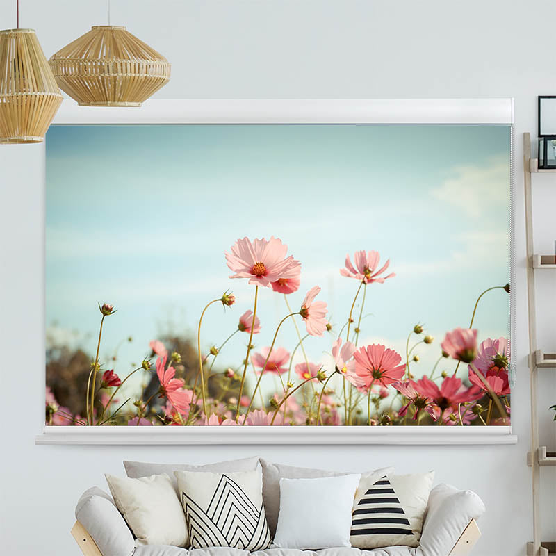 Kassettenrollo Motiv Kosmeen Blumenwiese Rosa Blumen