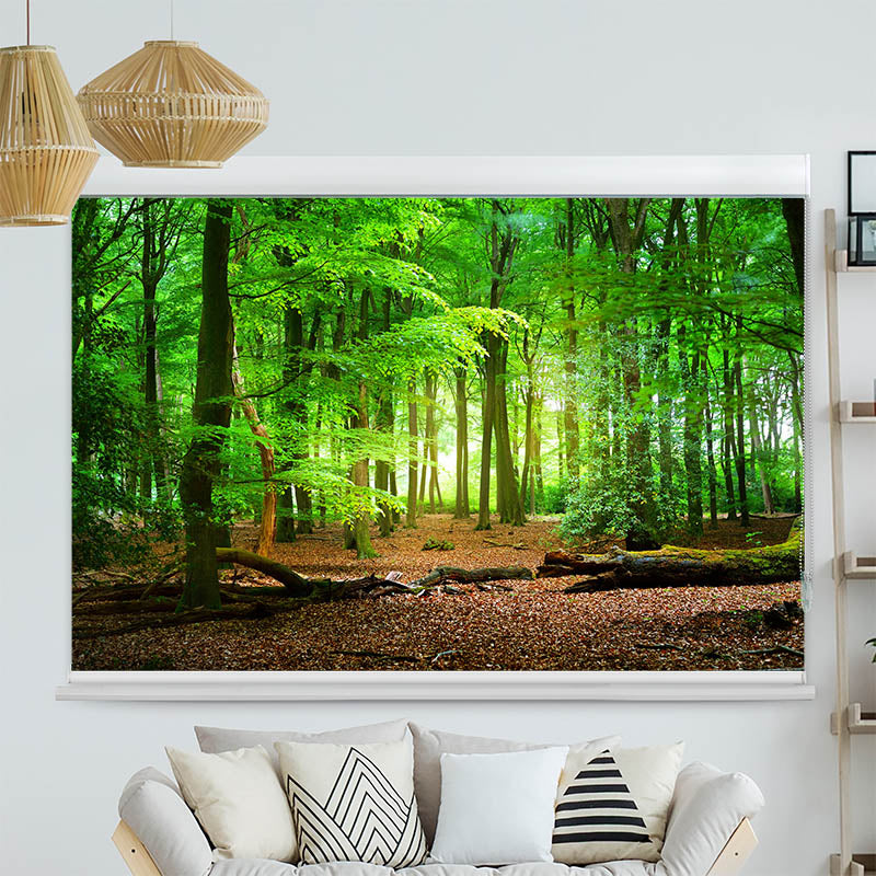 Kassettenrollo Motiv Wald mit Eichenlaub