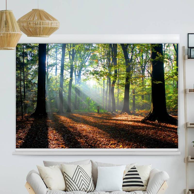 Kassettenrollo Motiv Wald Laub Sonne