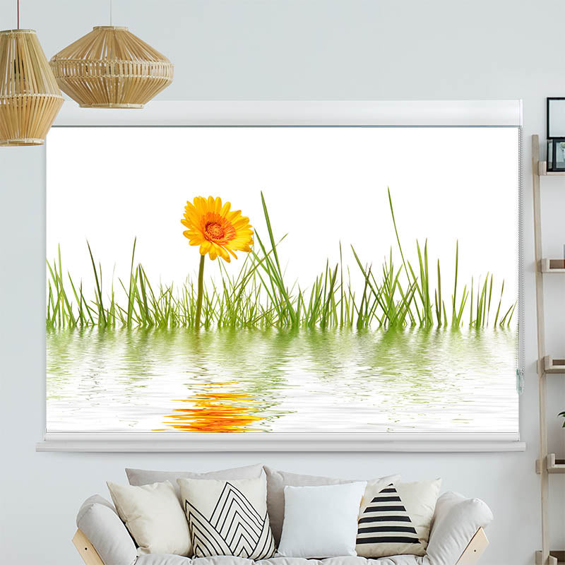 Kassettenrollo Motiv 'Gras im Wasser'