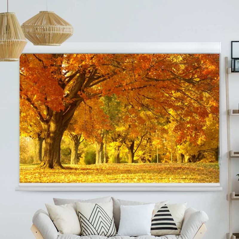 Kassettenrollo Motiv Allee im Herbst