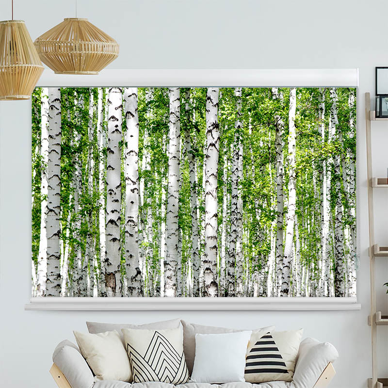 Kassettenrollo Motiv Birkenwald