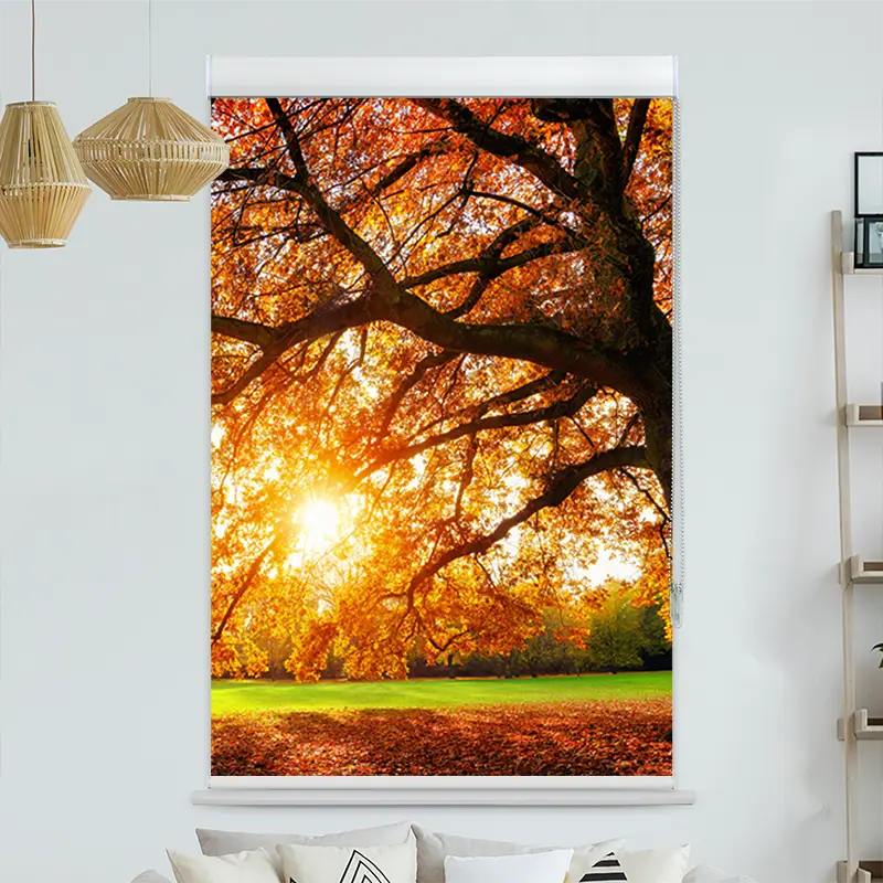 Kassettenrollo Motiv "Baum Herbst Sonnenstrahlen" | bis B 420 x H 420 cm