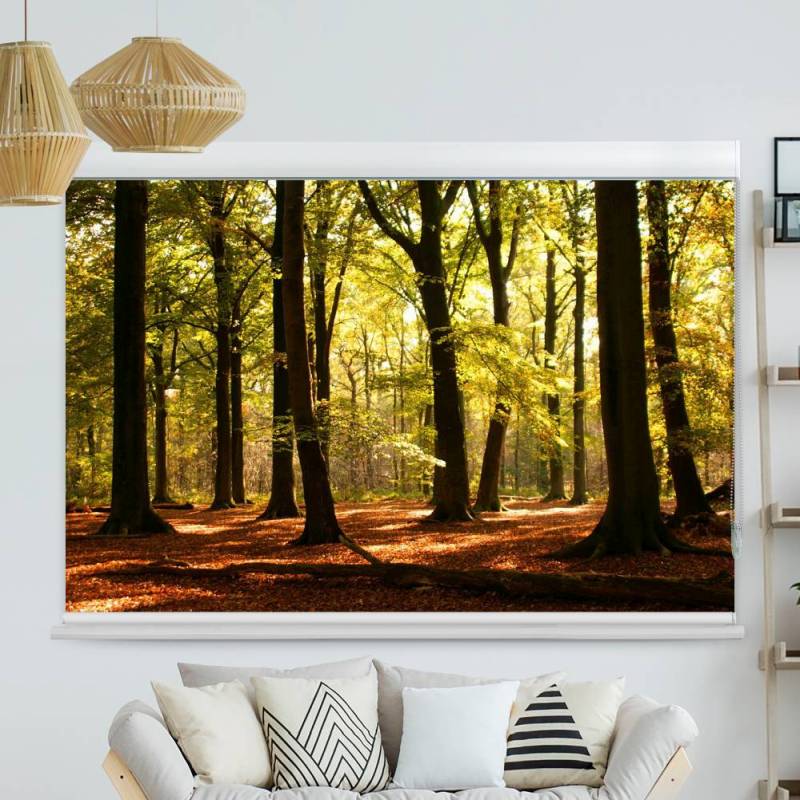 Kassettenrollo Motiv Wald Sonnenstrahlen