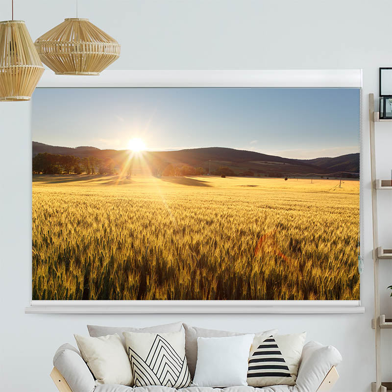 Kassettenrollo Motiv 'Kornfeld'