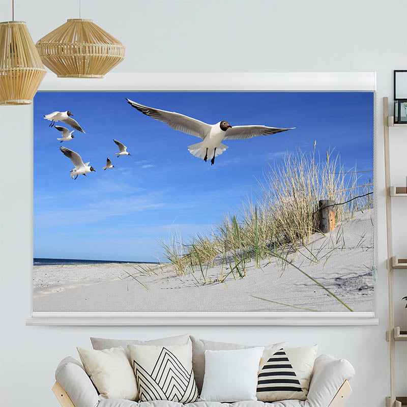 Kassettenrollo Motiv 'Moewen am Strand'