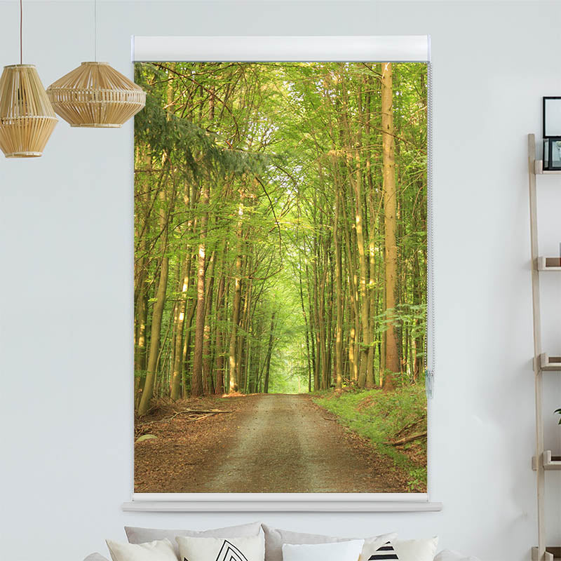 Kassettenrollo Motiv 'Bambuswald Weg'