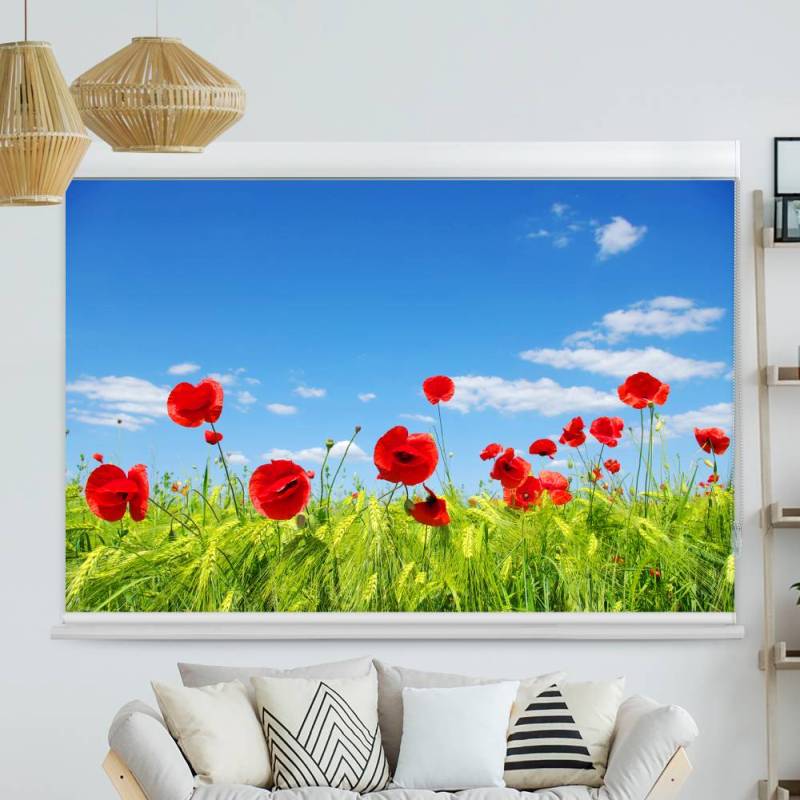 Kassettenrollo Motiv Mohnblumen Wiese
