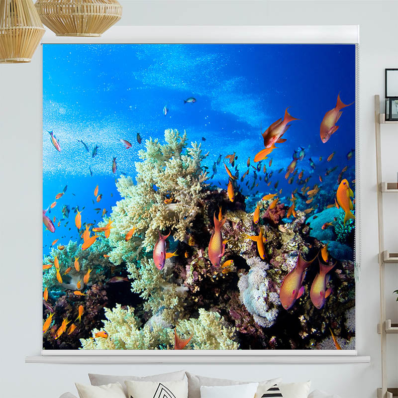 Kassettenrollo Motiv 'Korallen und Fische'