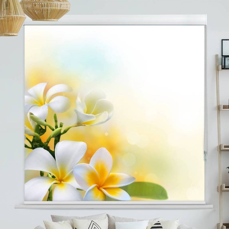 Kassettenrollo Motiv Frangipani
