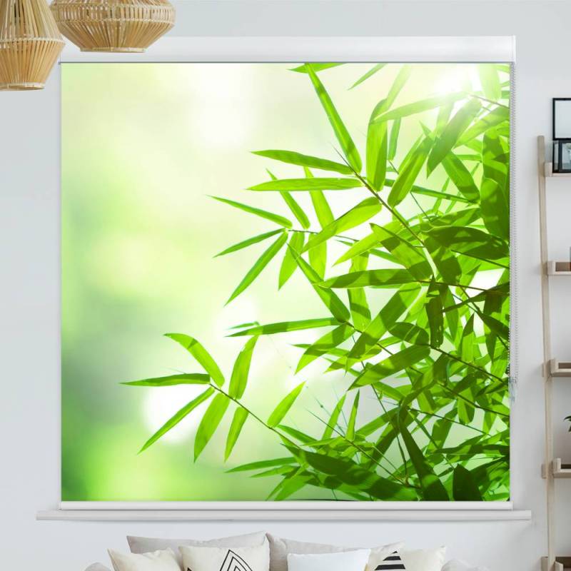 Kassettenrollo Motiv Bambus Strauch